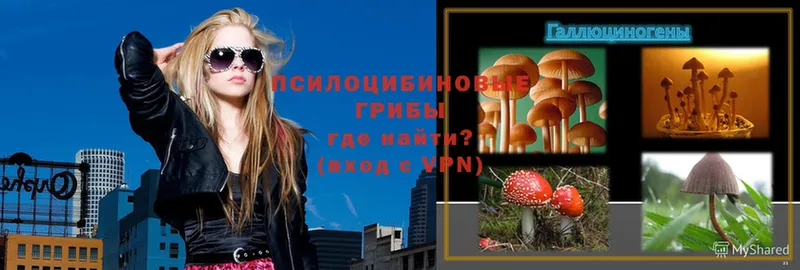 Галлюциногенные грибы MAGIC MUSHROOMS  купить  цена  Всеволожск 